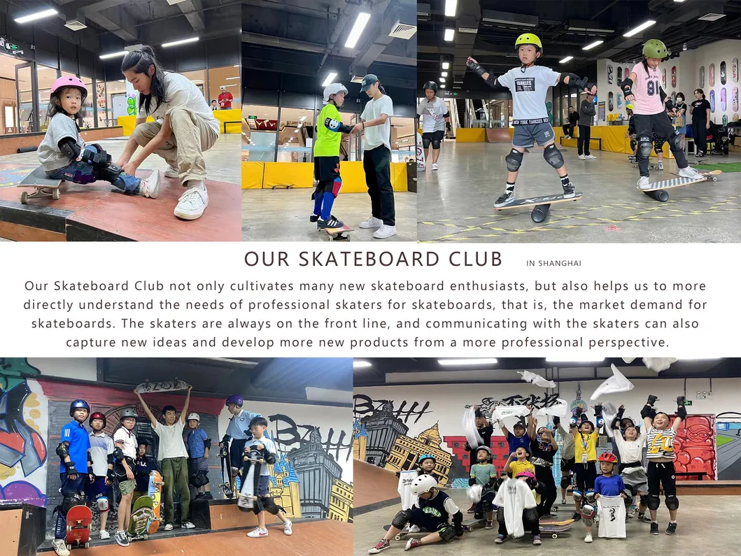 Electric Skateboard Full Set