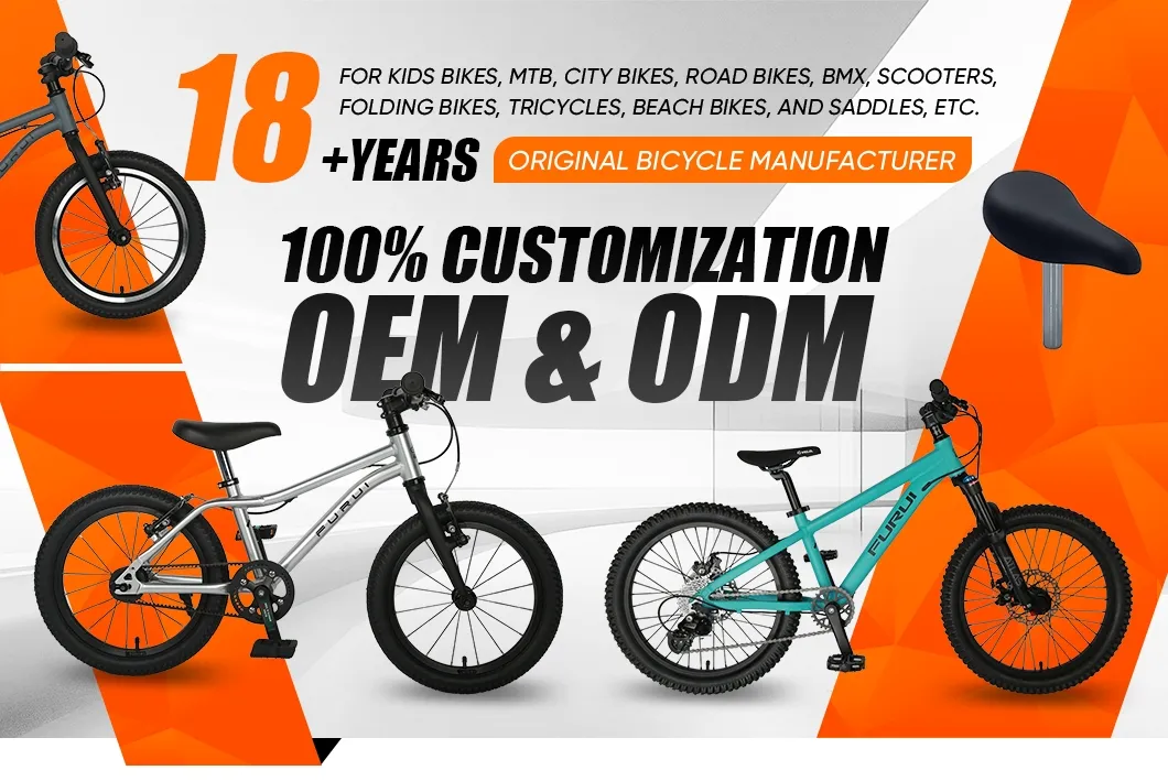 Kids Mountain Bike BMX Bicycle