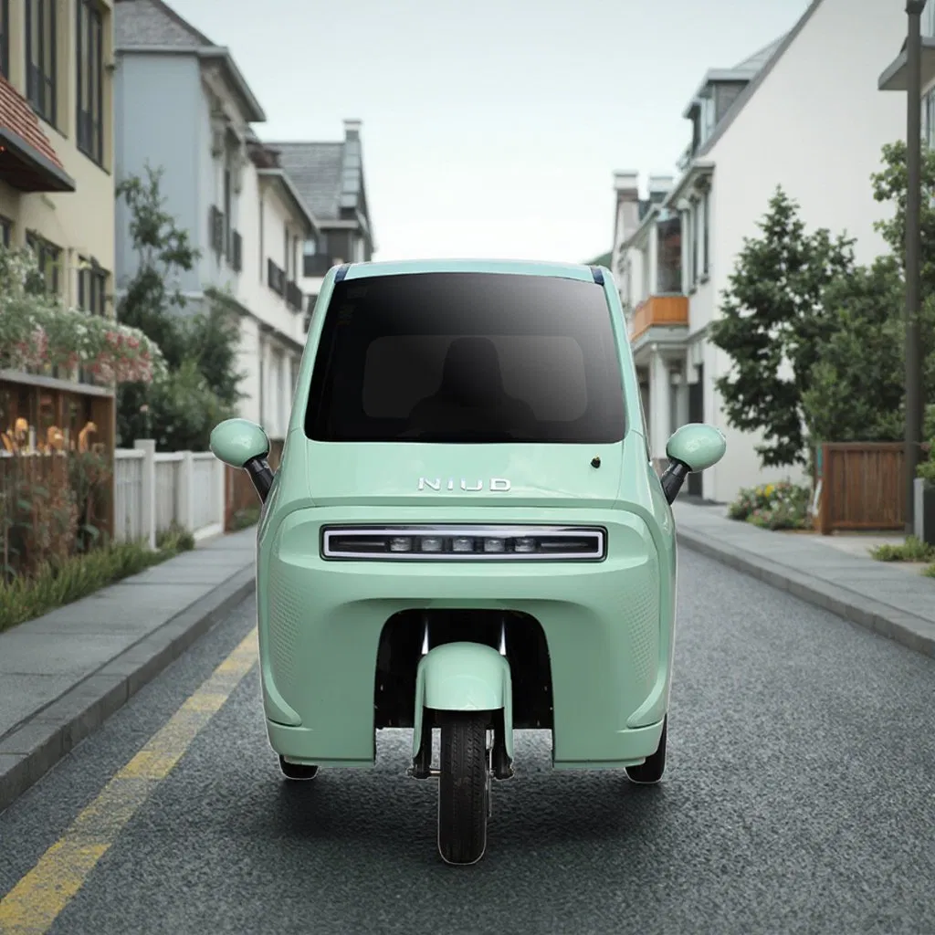 Wholesale 3 Wheel 2 Seat EEC Certified Electric Trike 90km Range Scooter for Adult