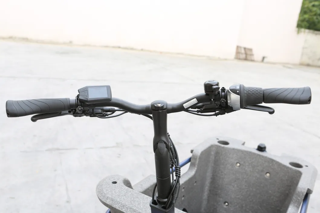 Cargo Bike Rear View