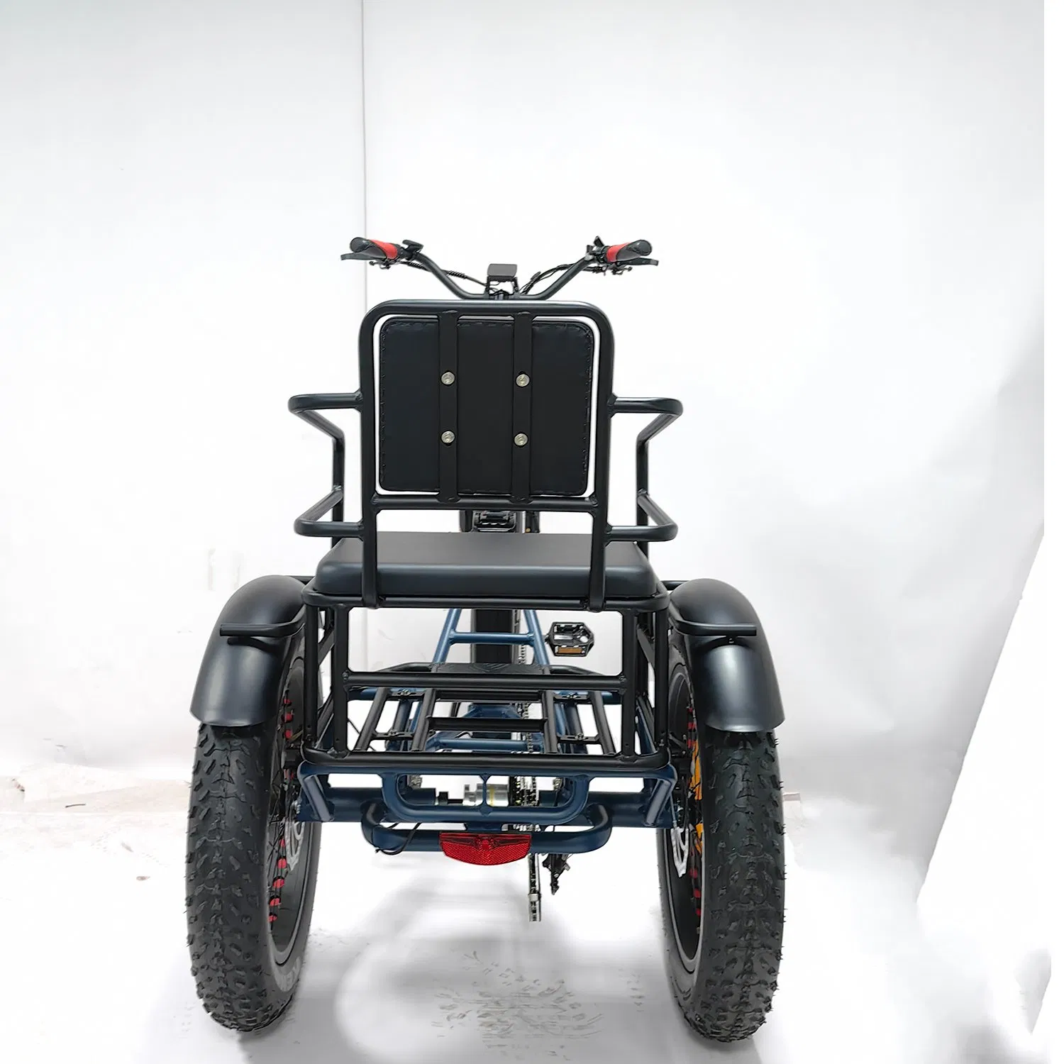 3 Wheel Electric Cargo Tricycle Fat Tire Front Drive Family 2person Electric Trike