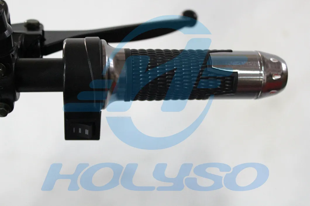 Electric Scooter View 2