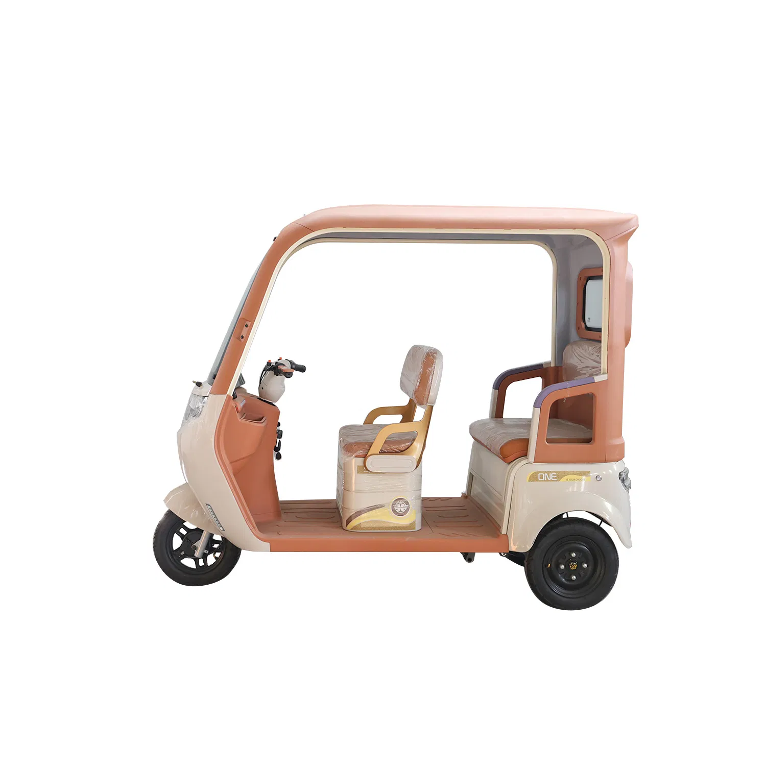 Chinese-Made Budget Electric Leisure Trike for Adults