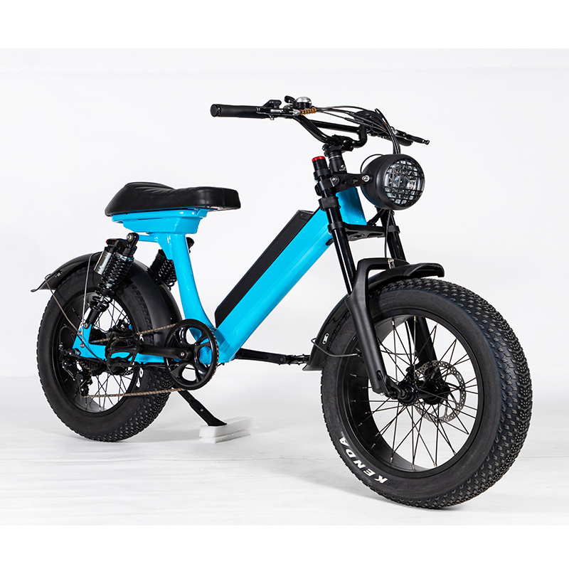 Convenient Light Electric Bike for Adult Commuter Customizable Colors