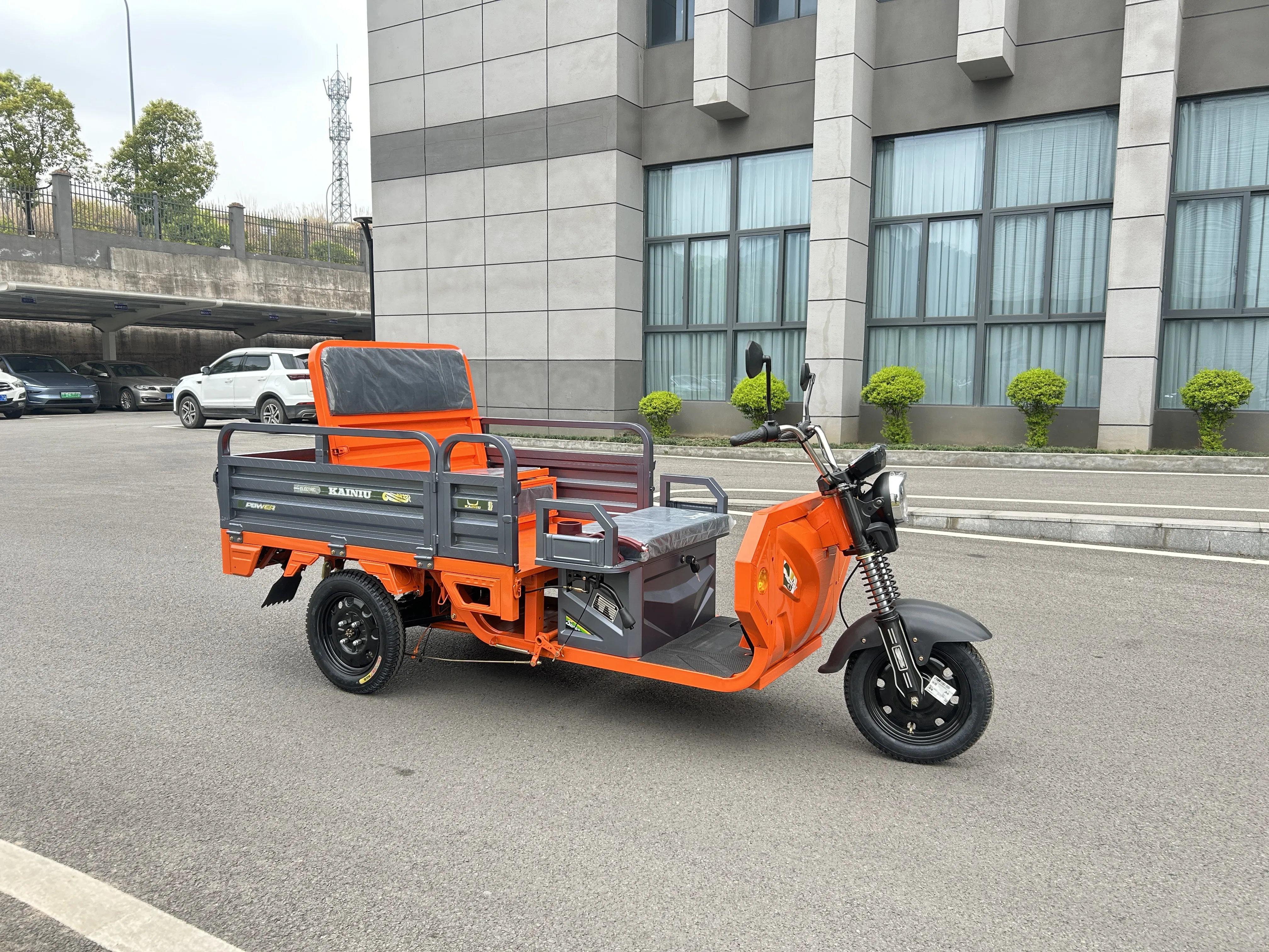 Versatile Folding Electric Trike with Three-Brake Linkage System