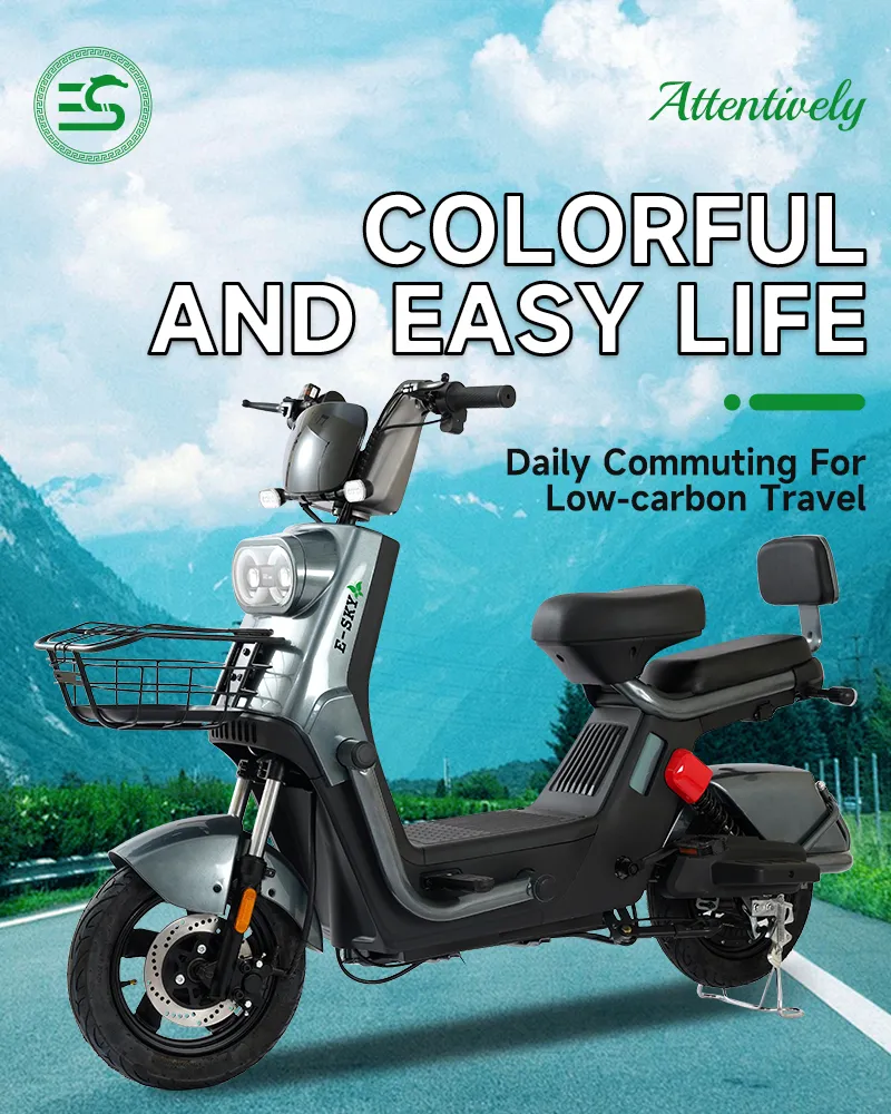 Electric Scooter Overview