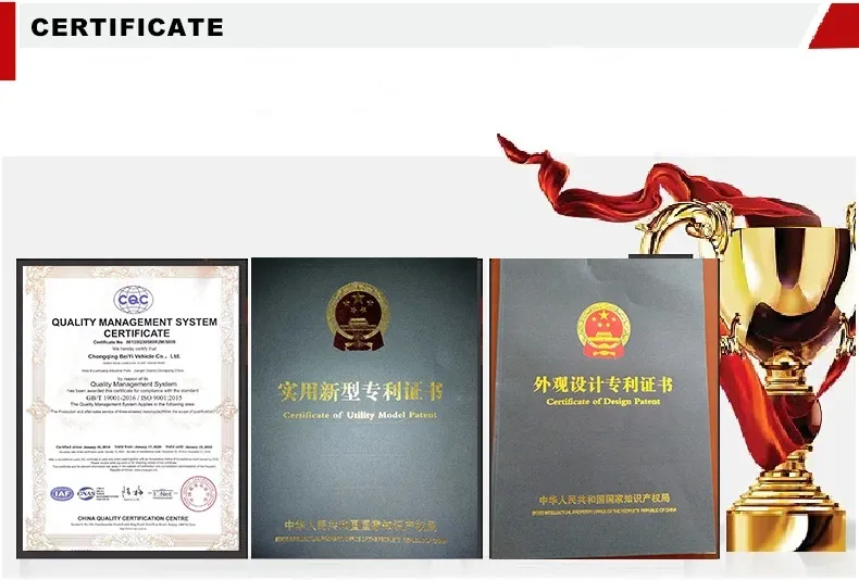 Electric Trike View 17