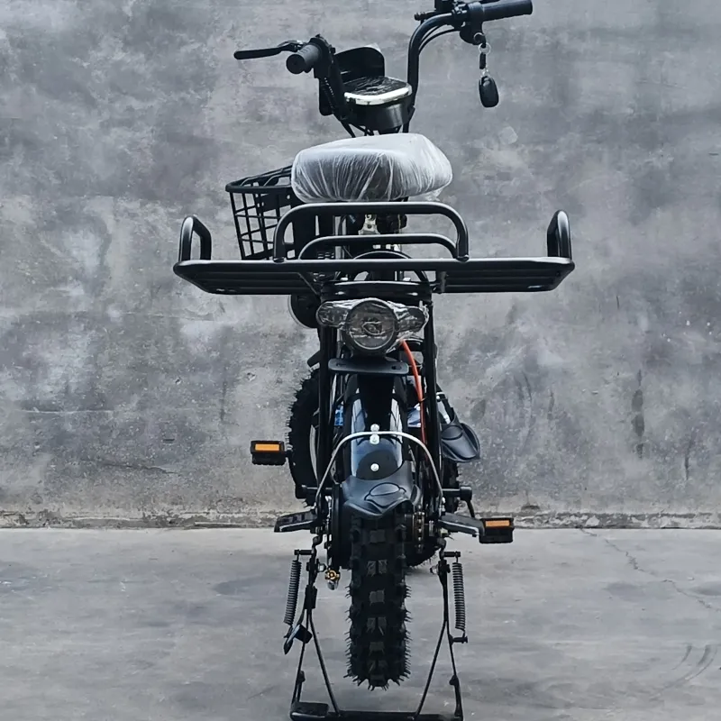 Electric Delivery Bike Detail