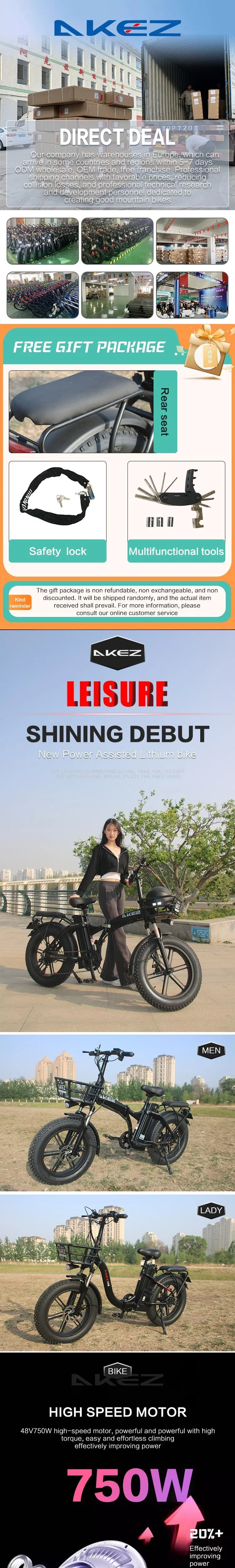 Folding Electric Bike View 1