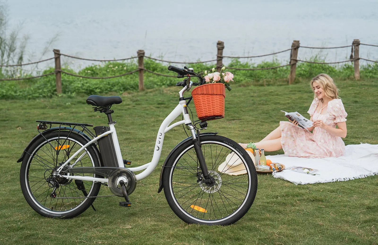 Electric Bicycle Overview