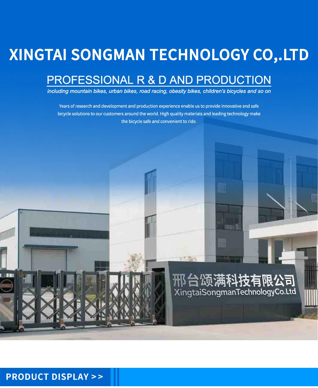 Fat Electric Bicycle