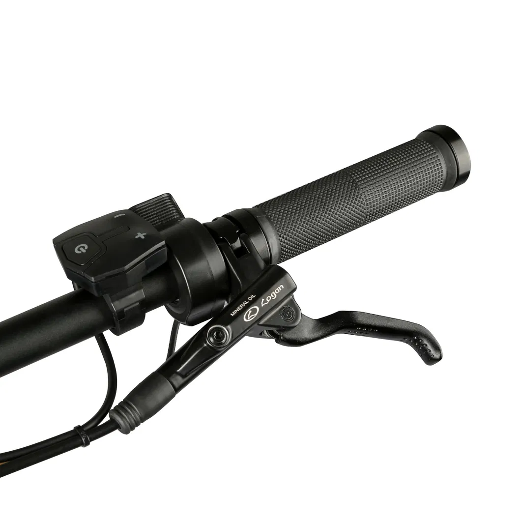 Fat Tyre Bike Detail