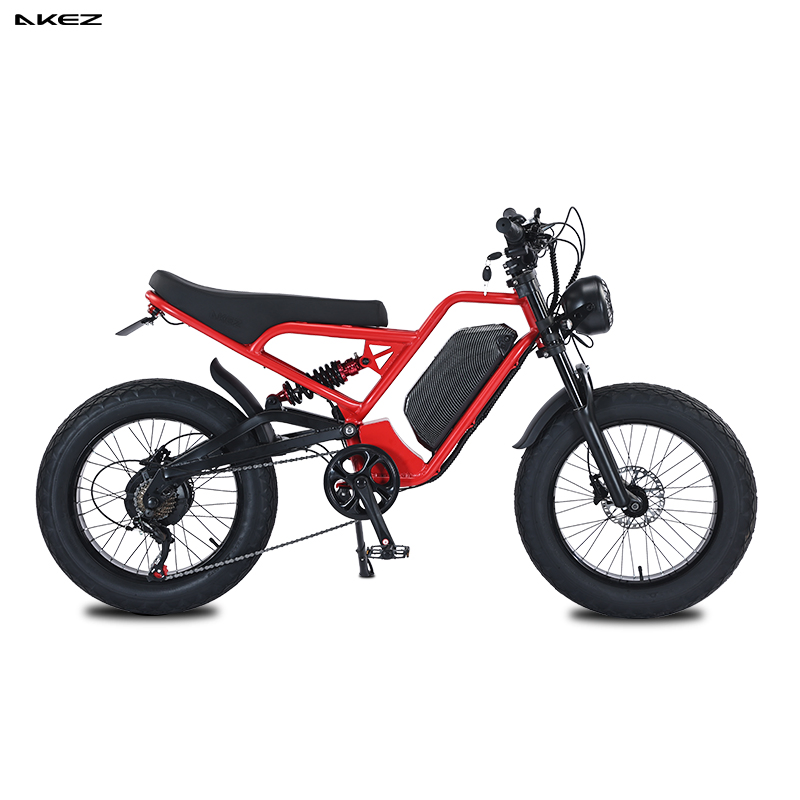 Akez Jaguar 48V 1500W 18ah Fat Tire off-Road Electric Bike with Hydraulic Brakes