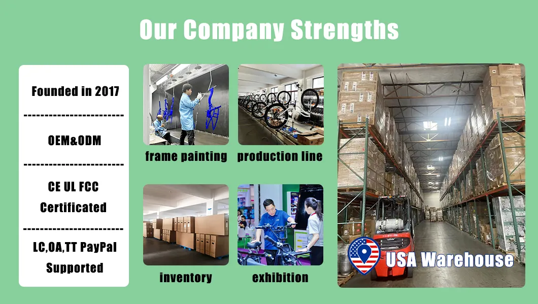 Heavy-Duty 3-Wheel Fat Tire Electric Bike