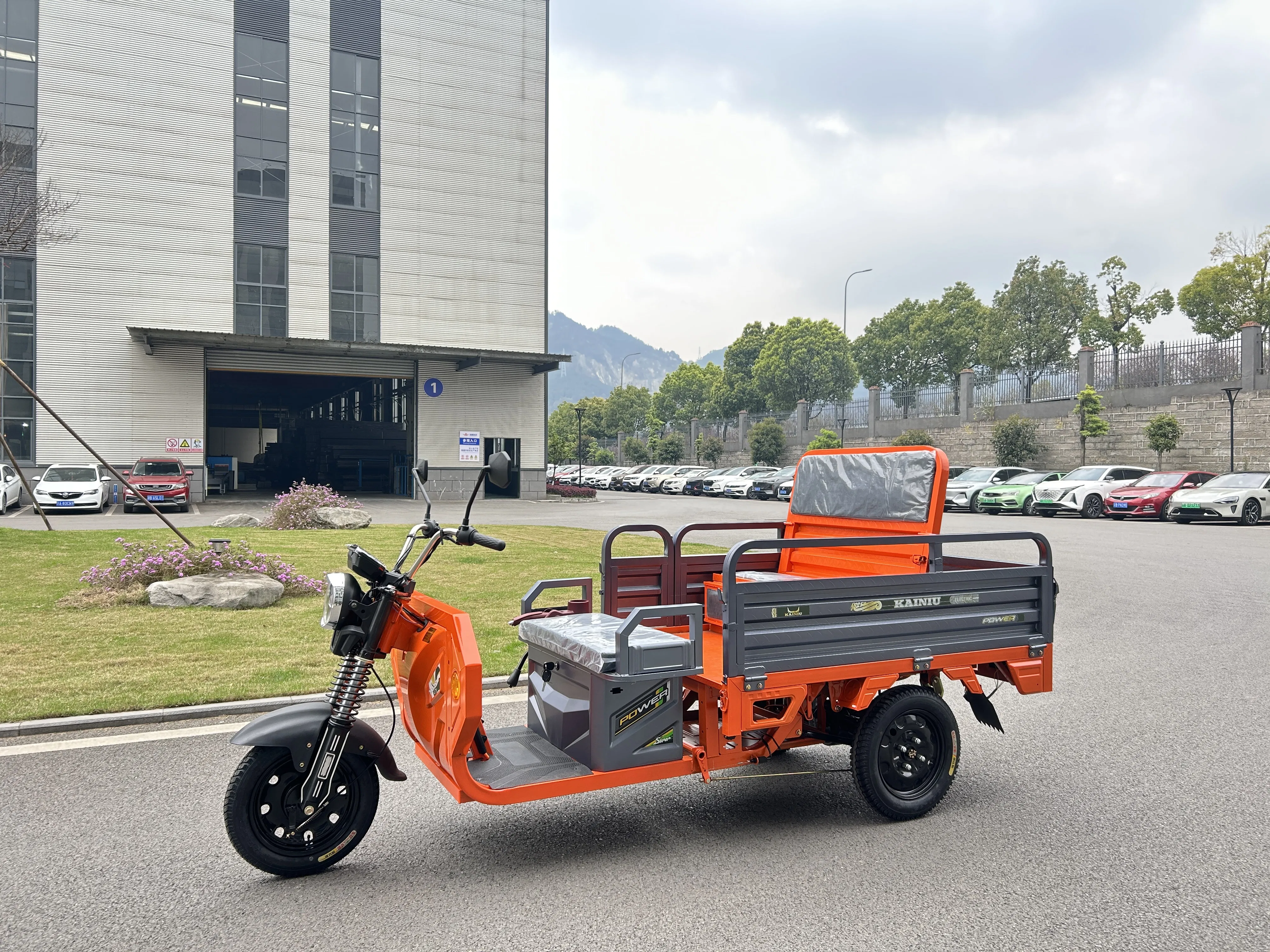 Versatile Folding Electric Trike with Three-Brake Linkage System