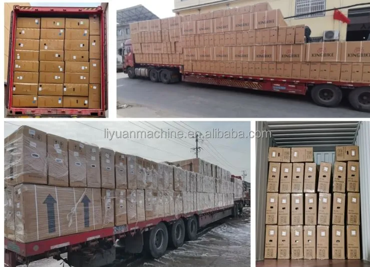 Electric Bike View 2