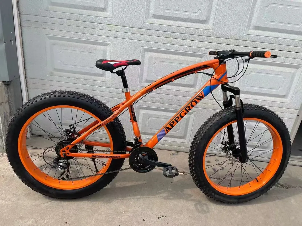 Full Suspension Fat Tire Mountain Bike