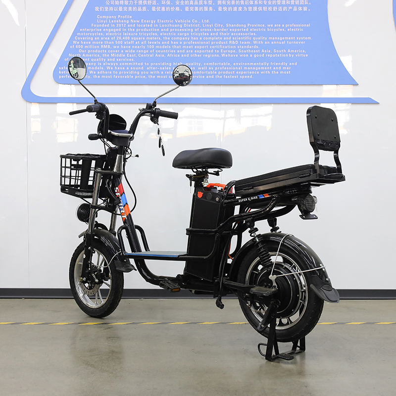 20 Inch Snow Tire High-Strength LiFePO4 Lithium Cargo Electric Bike with Thickened Frame for All Weather Conditions