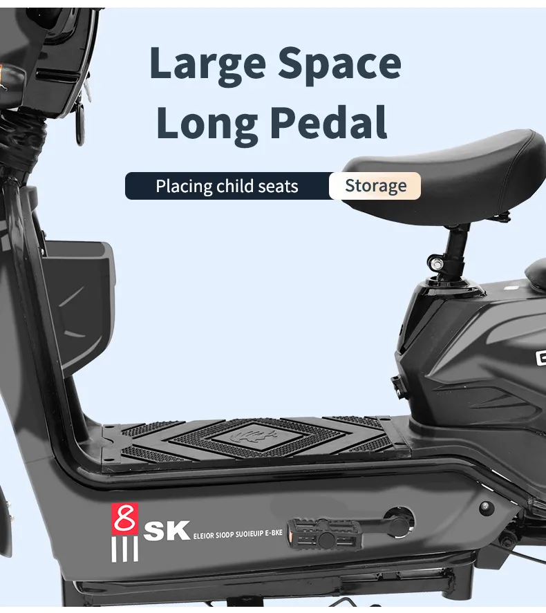 Electric Bike Details 9