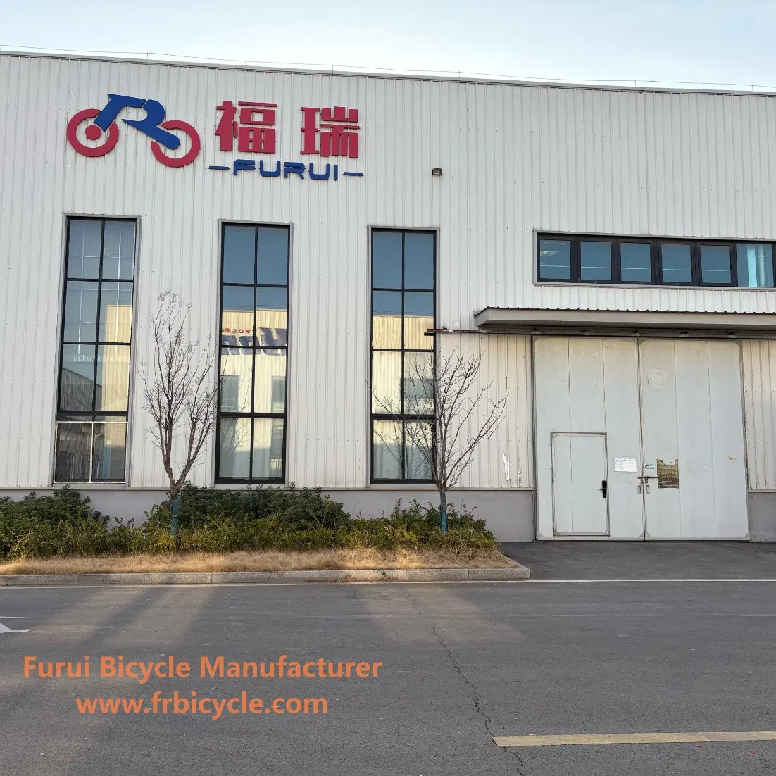 Alloy Frame BMX for Teenager Bike Children Bicycle