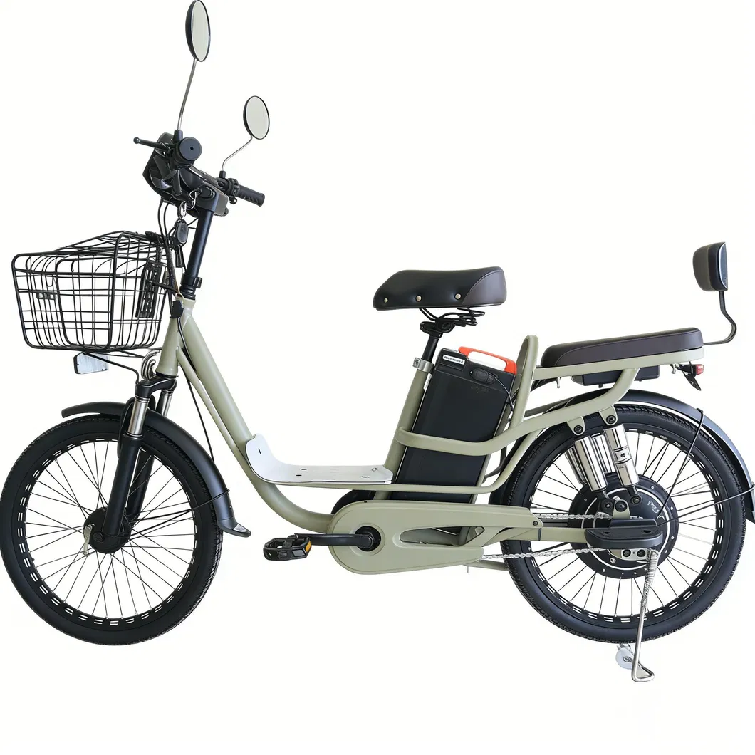 Electric Bicycle Main
