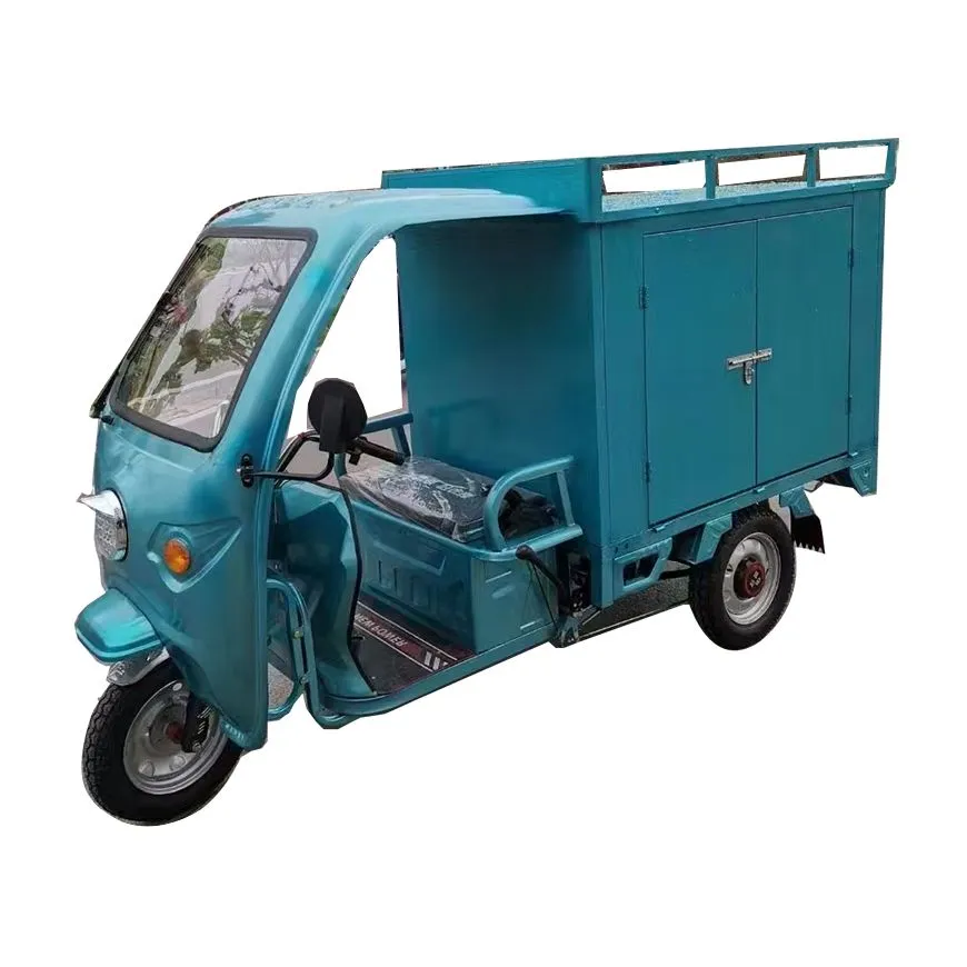 Electric Tricycle Detail