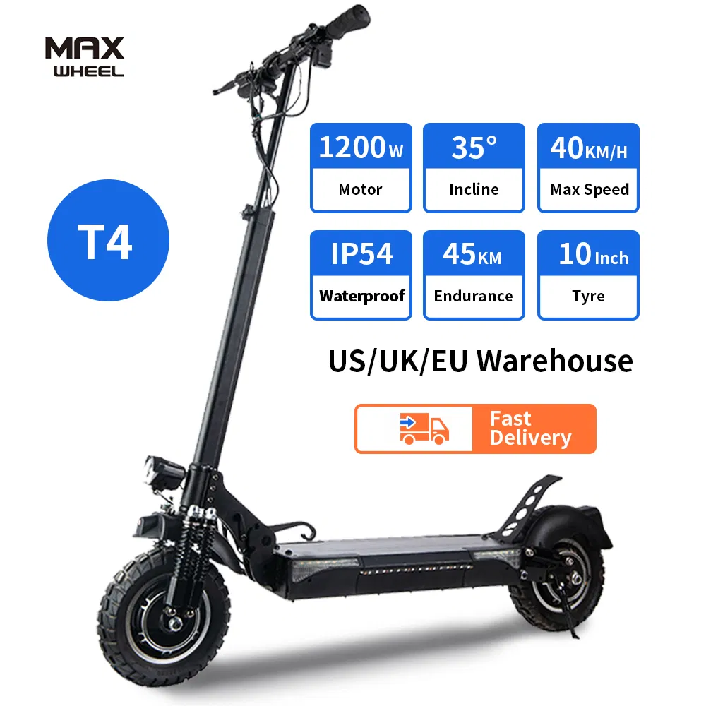 Self Balancing Scooter 48V 1000W Dual Motor Scooter off Road Electric Scooter