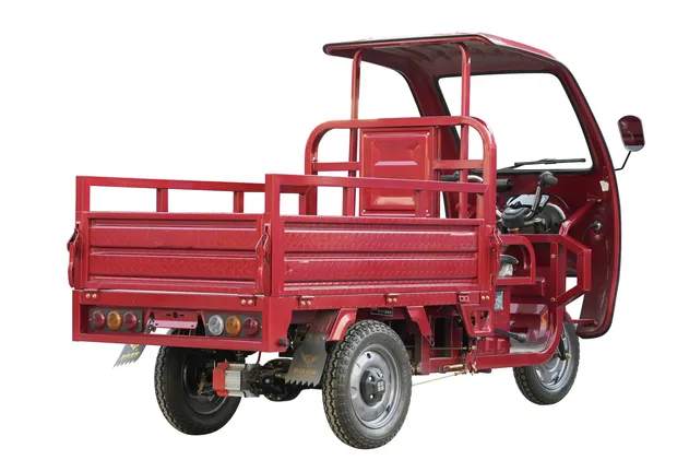 Electric Trike Front View