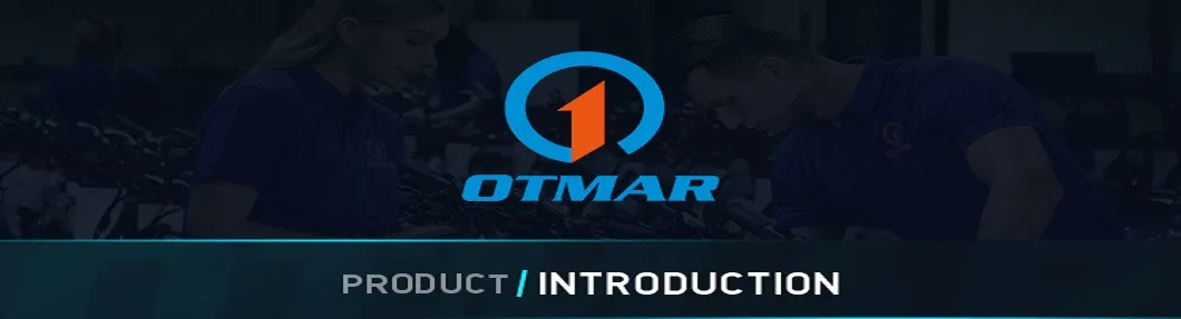 Electric Trike Banner