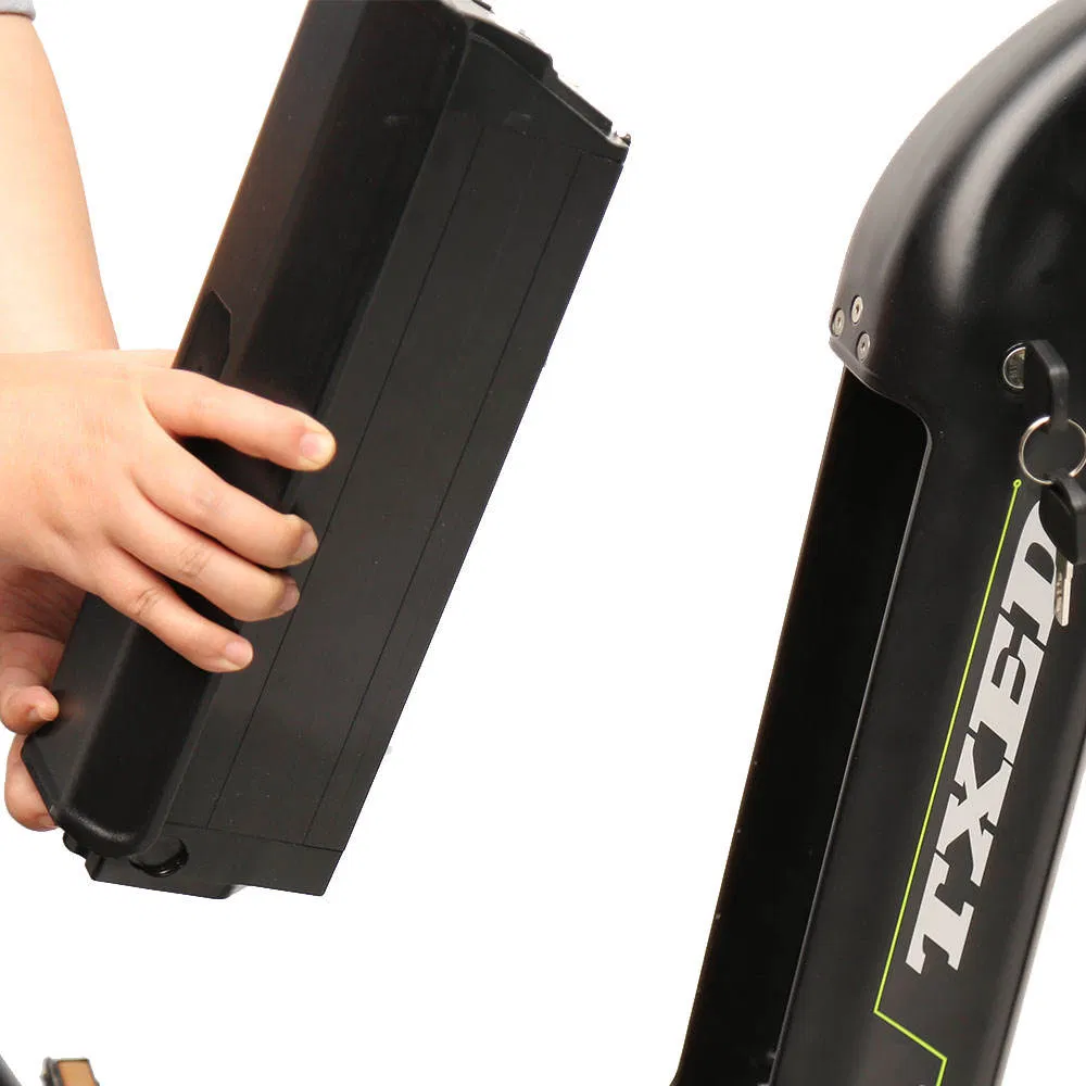 Txed Hot Sellinq 20"Inch Aluminum Frame Electric 3-Wheel Cargo Bike 48V 15ah Lithium Battery Powered Electric Tricycles