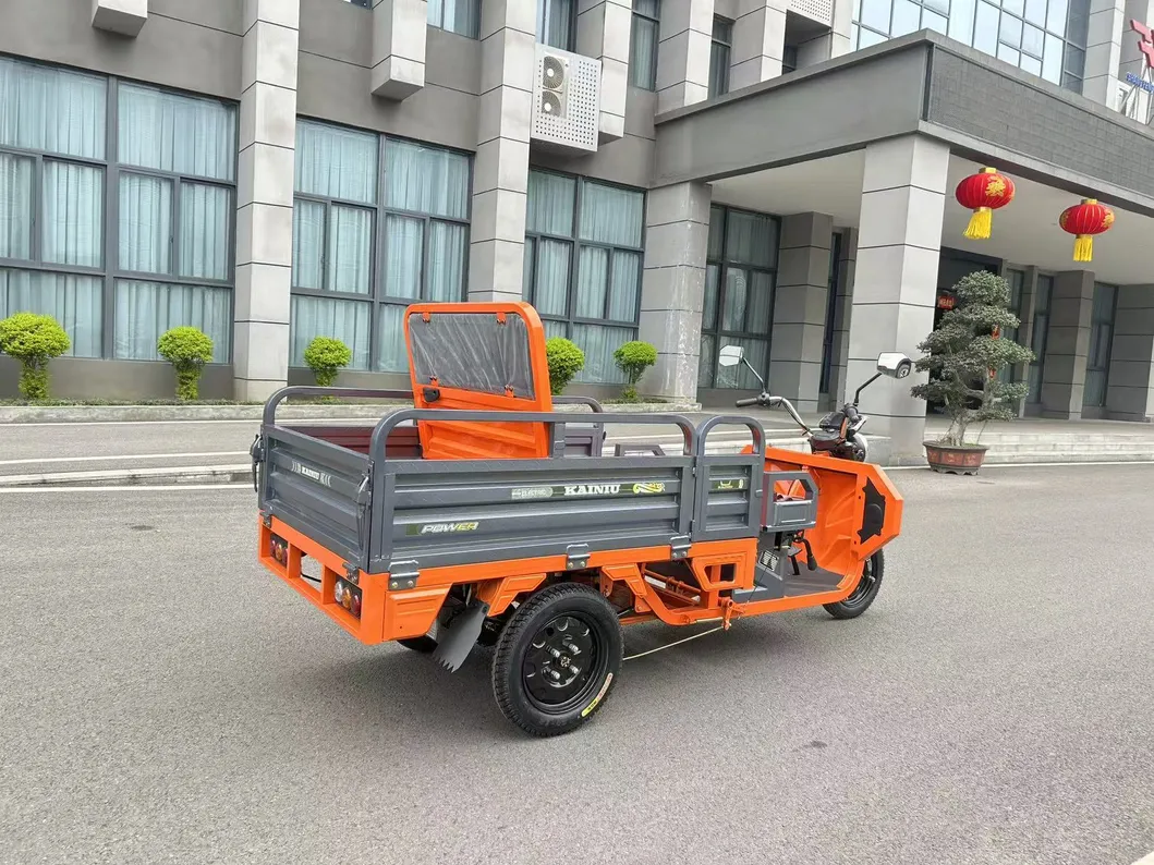 Electric Trike View 8