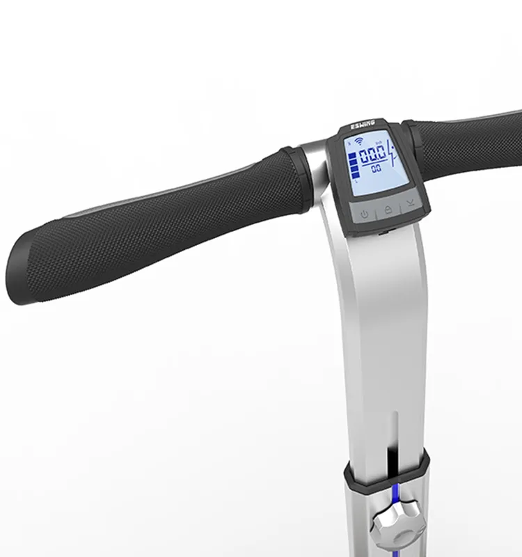 Self Balance Scooter Photo 3