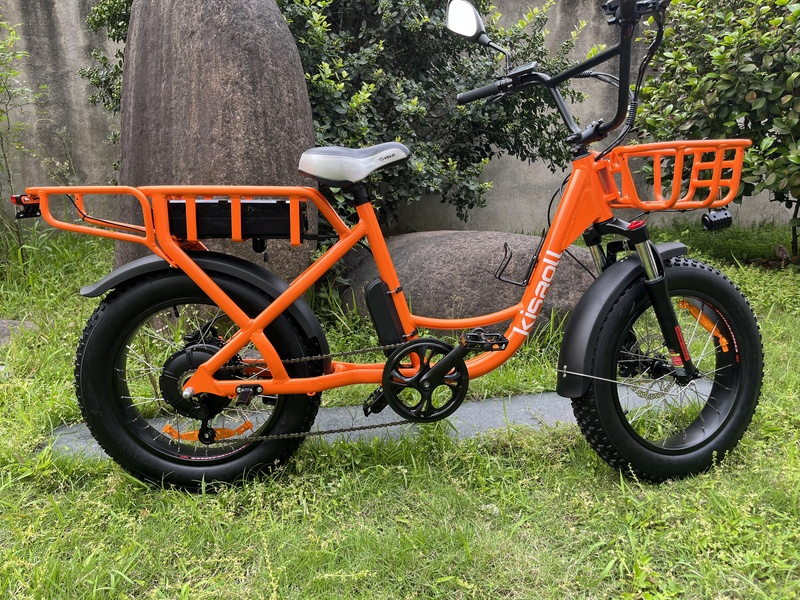 2025 New 1000W 48V 25ah E-Bike 20 Inch 7 Speed Fat Bike Big Wheel Fat Tire Electric Bike
