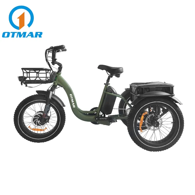 Electric Trike Product