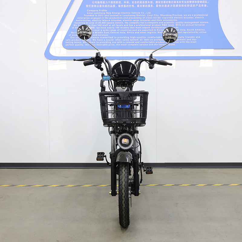 20 Inch Snow Tire High-Strength LiFePO4 Lithium Cargo Electric Bike with Thickened Frame for All Weather Conditions