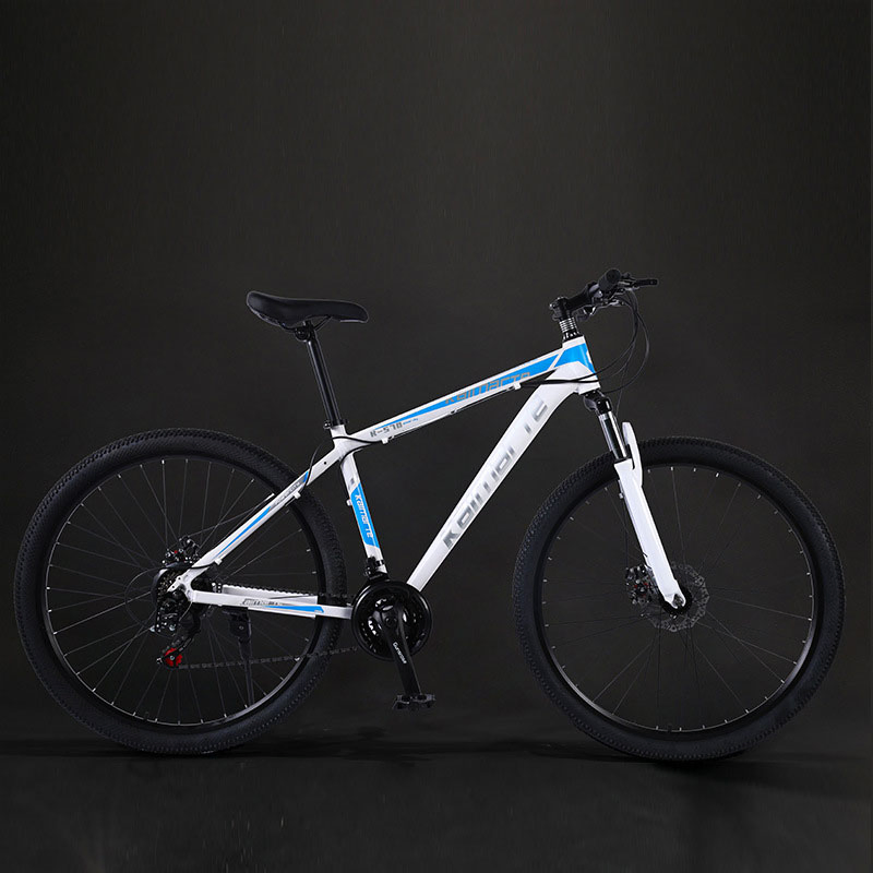 High Quality Fashion Mountain Road Adult Bicycle Mountain Bike