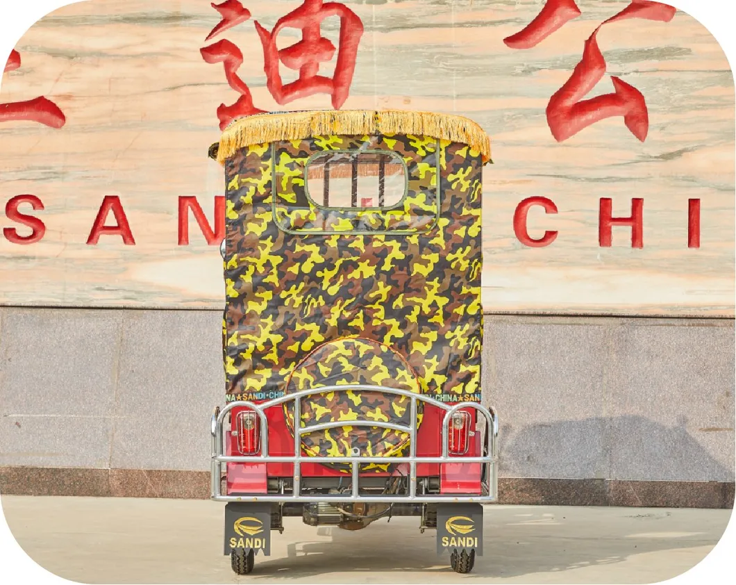 Electric Passenger Rickshaw Detail 1