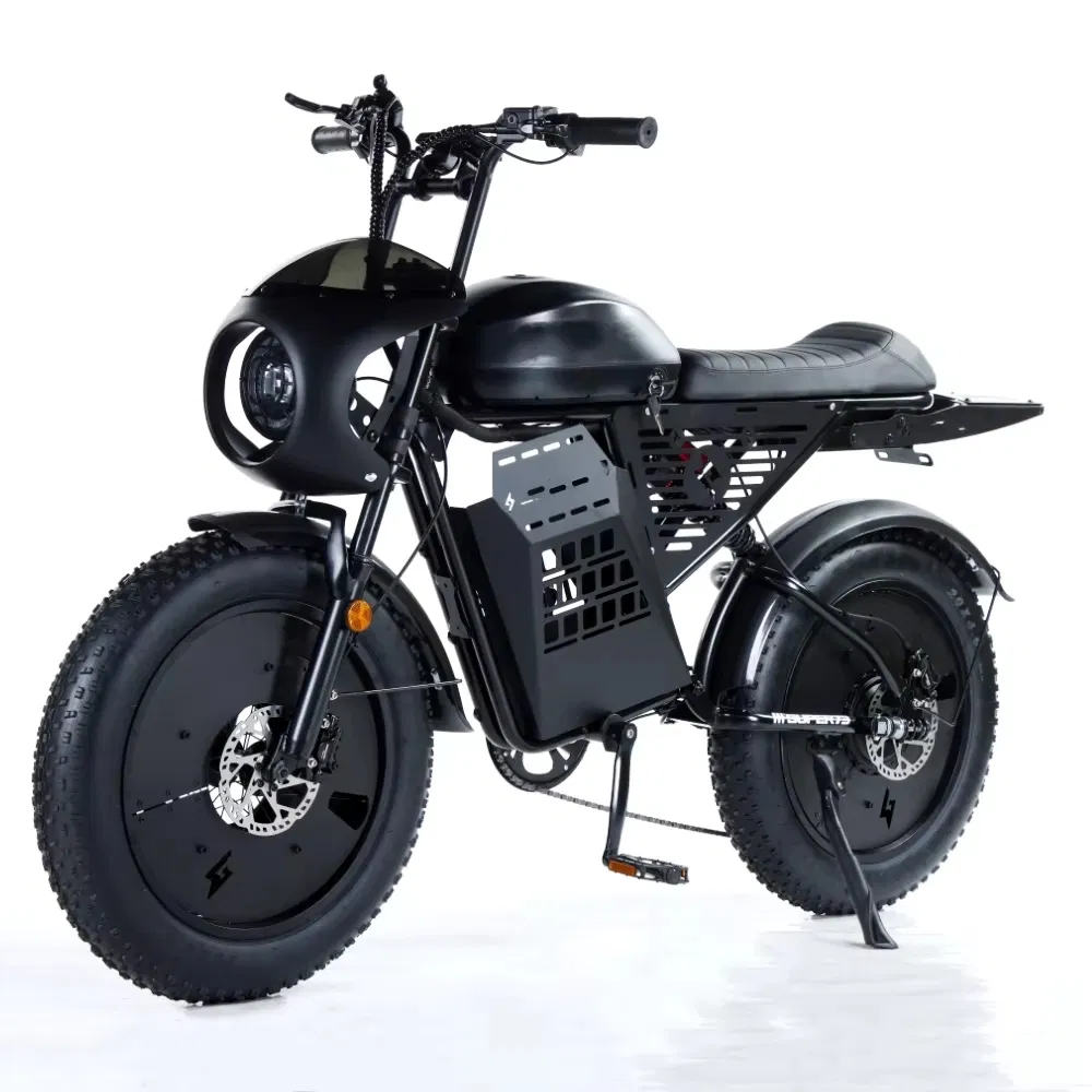 Electric Bike Photo 1