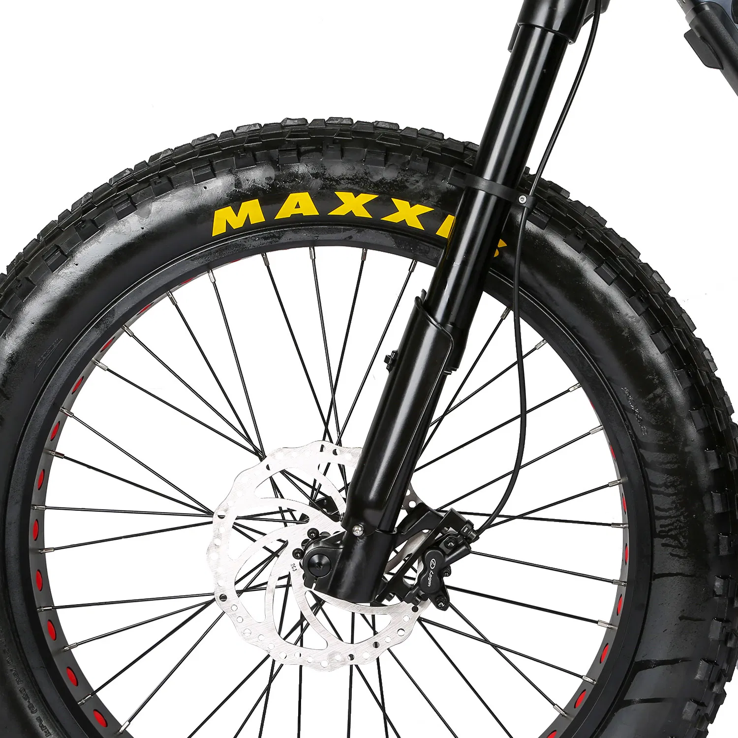 Fat Tyre Moped Electric Trekking Urban Sports Bike Ebike for off-Road Adventure E-MTB