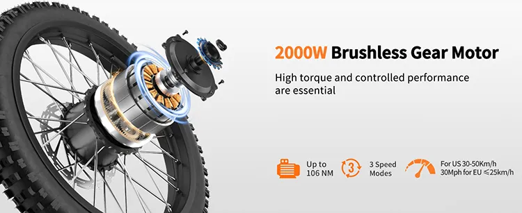 Electric Bike View 1