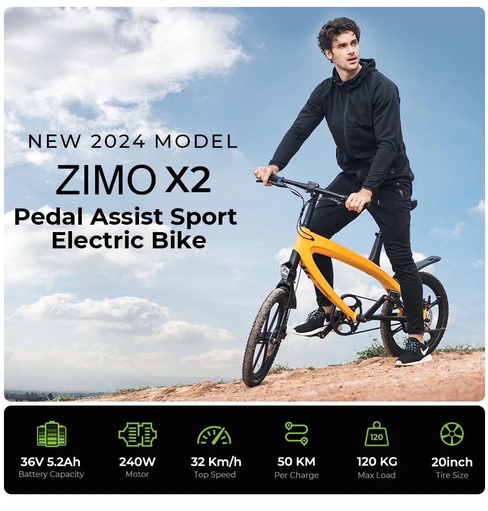 Electric Bike X2 Display