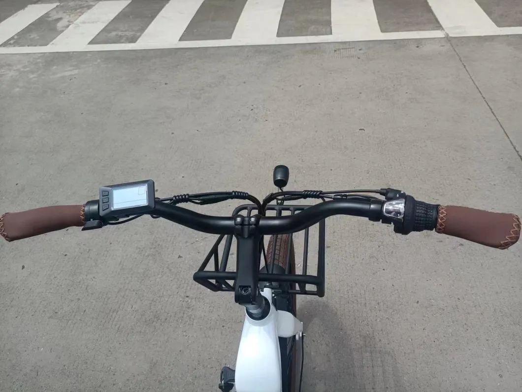 Electric Bicycle Rear Detail