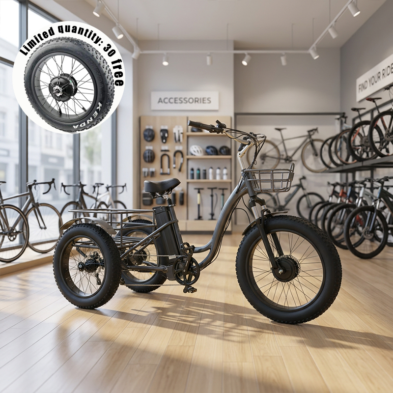 Heavy-Duty 3-Wheel Fat Tire Electric Bike Tricycle Courier E-Trike for Cargo Transport