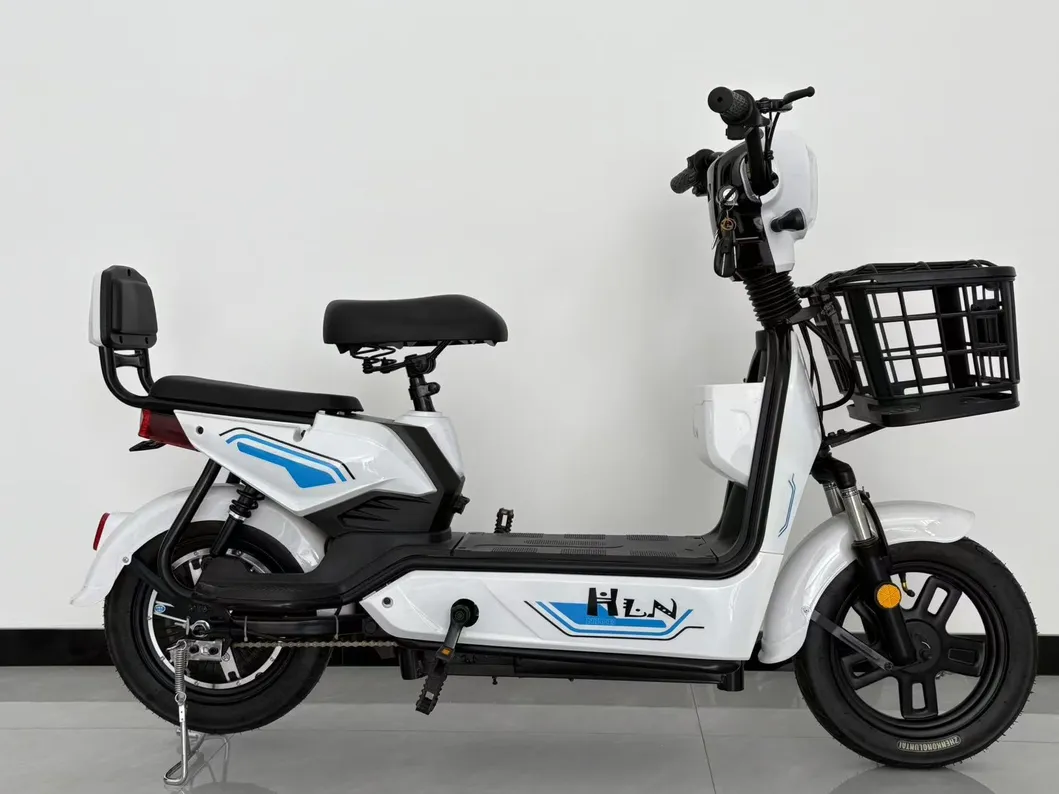 Electric Bike View 2