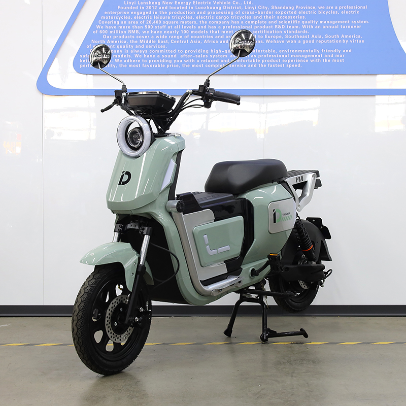 Powerfu; U2 1500W Lithium/Acid Battery Cargo Motorcycle/ E-Bike / Electric Bike for Long Distance Daily Riding Needs