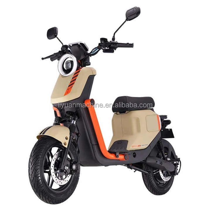 Y2-Gt1 Electric Road Bike for Adults Long Range 48V 350W Rear Hub Motor 500W Electronic Smart Type Optional 800W Motor Power