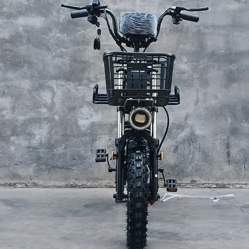 Electric Bike Details 1