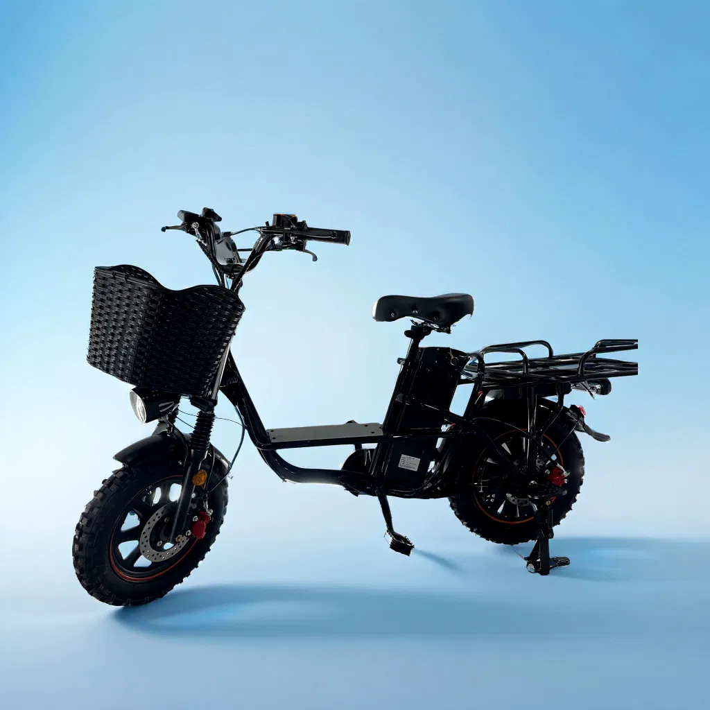 2025 Popular 16*3.0 Snow Tire Hot Sell Electric City Cargo Bicycle 800W Powerful Motor