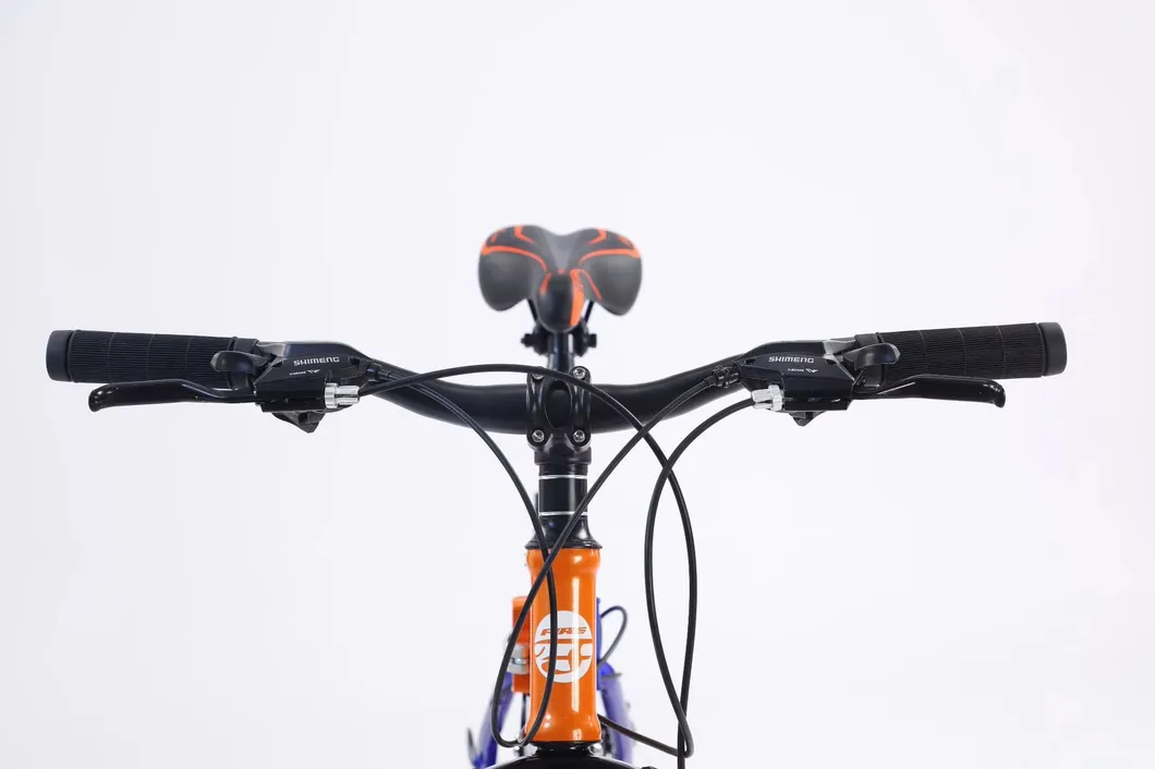 Mountain Bike View 1