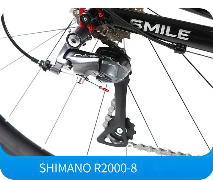 Carbon Fiber Road Bike Details